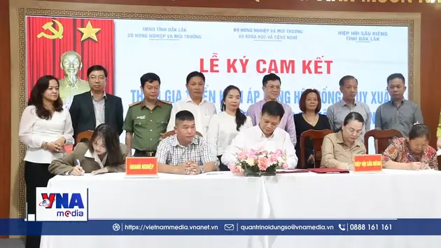 Phát triển ngành hàng sầu riêng gắn với truy xuất nguồn gốc