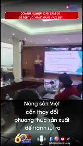 Doanh nghiệp cần làm gì để tiếp tục xuất khẩu vào EU?