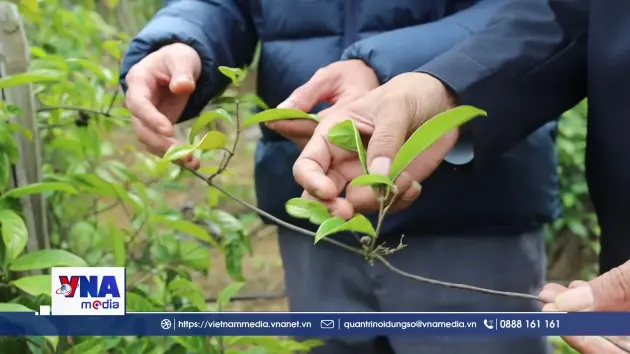 Đổi thay ở xã vùng cao Kỳ Thượng