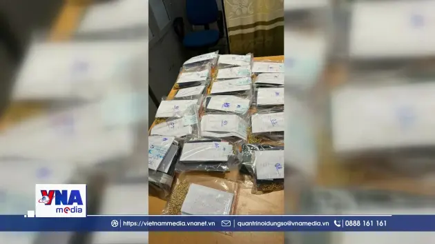 Phát hiện các đối tượng vận chuyển vàng trái phép qua sân bay Cát Bi