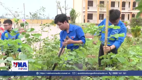 Thủ lĩnh của phong trào tình nguyện ở Ninh Bình