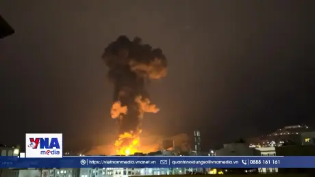 Liên hợp quốc nhận định về tình hình Thế giới