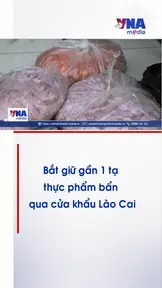 Bắt giữ gần 1 tạ thực phẩm bẩn qua cửa khẩu Lào Cai