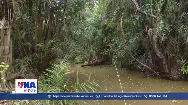 Cà Mau chủ động phòng chống cháy rừng mùa khô