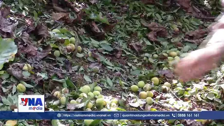 Hỗ trợ người dân 