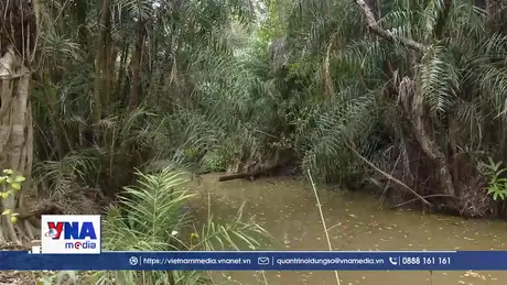 Cà Mau chủ động phòng chống cháy rừng mùa khô