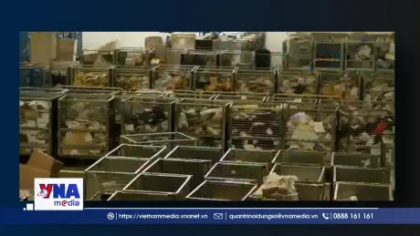 Pháp phát hiện 70% sản phẩm online dưới chuẩn và độc hại