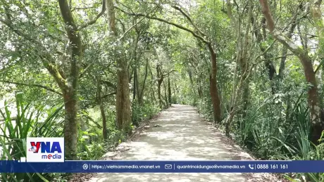 Đánh thức tiềm năng du lịch trằm Trà Lộc