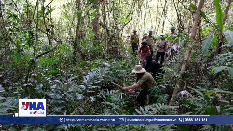 Những người phụ nữ K’Ho góp phần để rừng Sêrêpôk mãi xanh