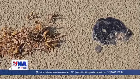 Xác định nguyên nhân vụ tràn dầu ở Vịnh Mexico