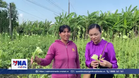 Tín dụng chính sách giúp phụ nữ dân tộc Khmer Vĩnh Long phát triển kinh tế