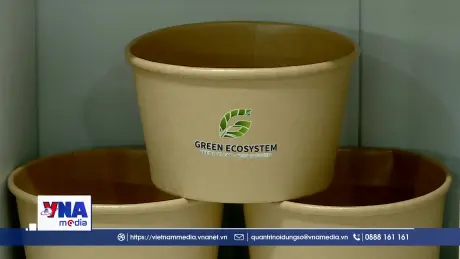 Giải pháp công nghệ nâng cao khả năng tái chế bao bì giấy