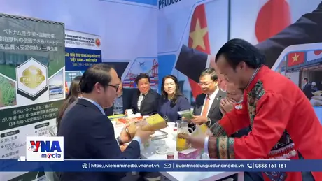 Trà Việt - Nhịp cầu văn hoá, khơi nguồn thương mại