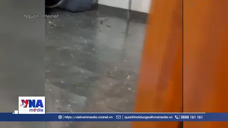 Cảnh báo nguy cơ dông lốc, mưa đá những ngày tới