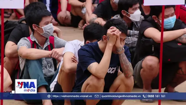 Nhận diện Mua bán người, Di cư trái phép và Lao động cưỡng bức