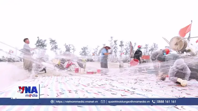 Ngư dân Hà Tĩnh trúng đậm hải sản mùa cao điểm