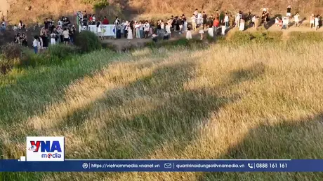 TP.HCM: Cánh đồng cỏ lau hút khách “săn” mặt trời “trứng muối”