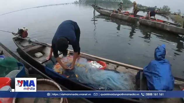 Giữ mạch sống đầm phá Tam Giang – Cầu Hai (Huế)