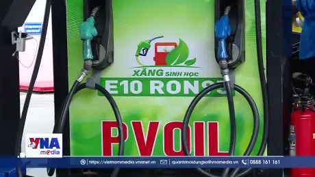 Ô tô và bước chuyển sang xăng sinh học E10