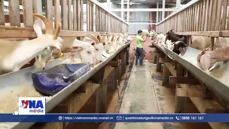 Gỡ “điểm nghẽn” vốn thúc đẩy Hợp tác xã phát triển