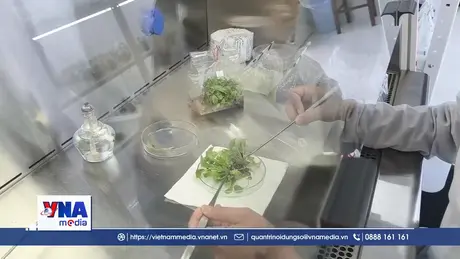 Đại học Trà Vinh: Thúc đẩy nông nghiệp xanh phát triển bền vững