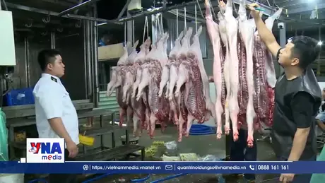 Trạm tin trưa ngày 31/3: Công điện của Thủ tướng về chấn chỉnh công tác kiểm soát giết mổ gia súc