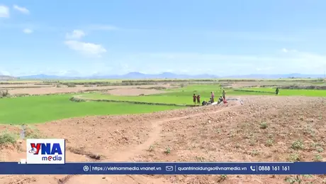 Cảnh báo nắng nóng tác động đến sản xuất nông nghiệp