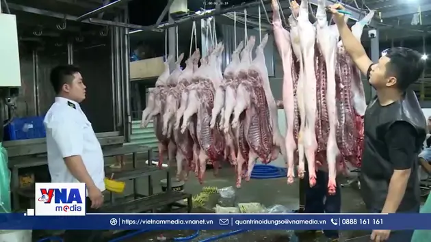 Trạm tin trưa ngày 31/3: Công điện của Thủ tướng về chấn chỉnh công tác kiểm soát giết mổ gia súc