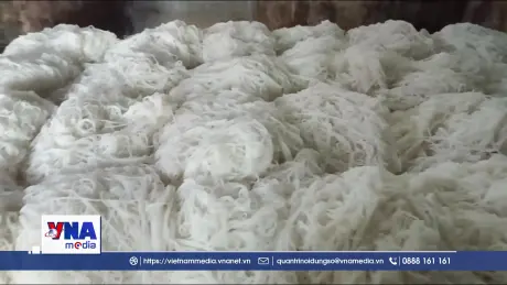 Di sản văn hóa Nghề làm bún Vân Cù - Huế