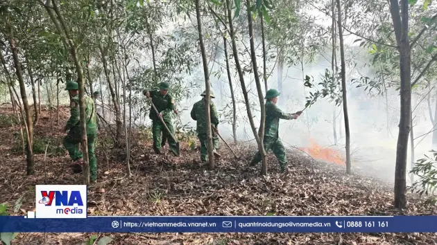 Huy động lực lượng dập tắt đám cháy rừng ở Quảng Trị