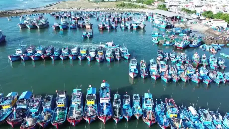 Khoảnh khắc & Sự kiện ngày 01/04/2026