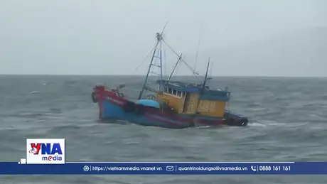 Hoàn thành đầy đủ khuyến nghị của Châu Âu về chống khai thác IUU