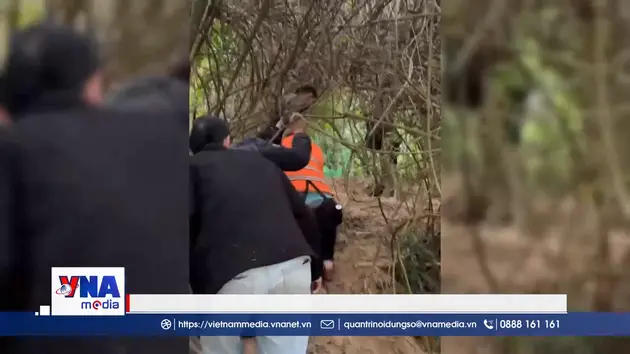 Hà Tĩnh truy bắt giữ đối tượng tàng trữ buôn bán ma túy