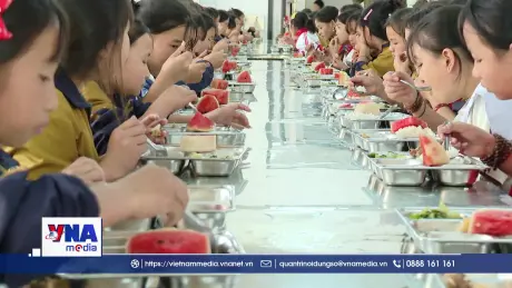 Đảm bảo an toàn thực phẩm trong trường học