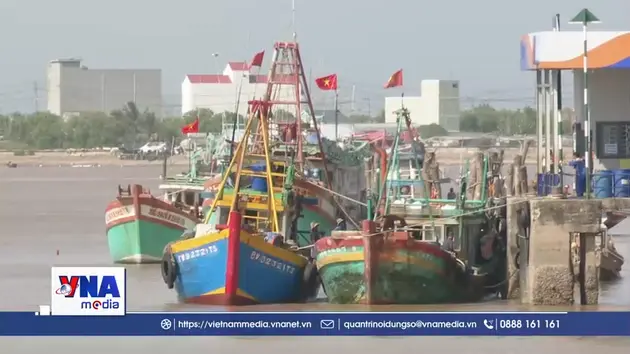 Cà Mau gần 300 phương tiện giảm chuyến biển do nhiên liệu tăng