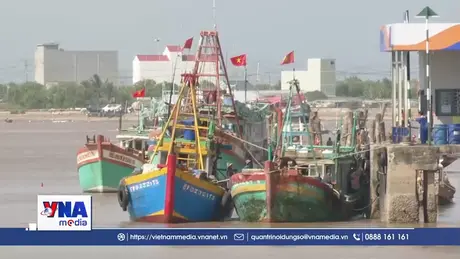 Cà Mau gần 300 phương tiện giảm chuyến biển do nhiên liệu tăng