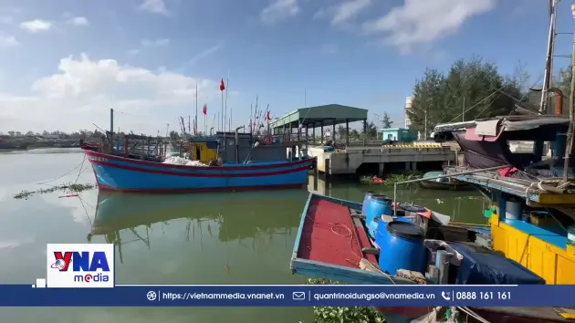 Đà Nẵng bàn giao quản lý Cảng cá Hồng Triều sau khi nghiệm thu