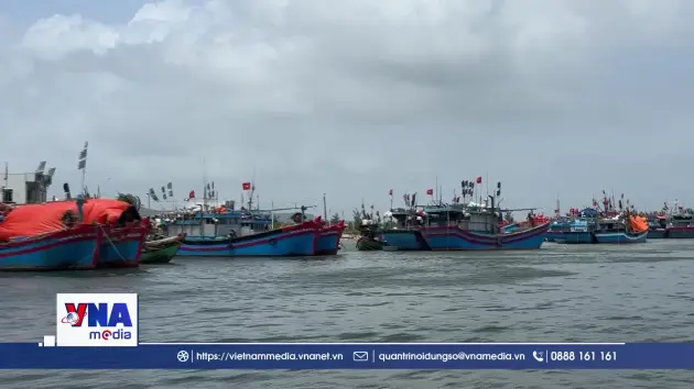 Siết chặt đối soát số liệu tàu cá, quyết tâm gỡ thẻ vàng IUU