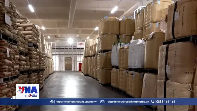 Nhật Bản hướng tới sản xuất gạo theo nhu cầu