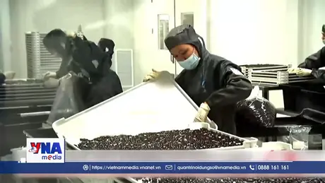 Mỹ áp thuế 100% đối với một số mặt hàng dược phẩm nhập khẩu