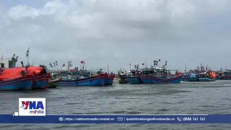 Siết chặt đối soát số liệu tàu cá, quyết tâm gỡ thẻ vàng IUU