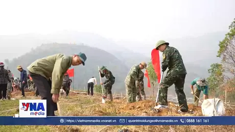 Điện Biên đồng loạt ra quân trồng mới 12.000 ha cà phê, mắc ca