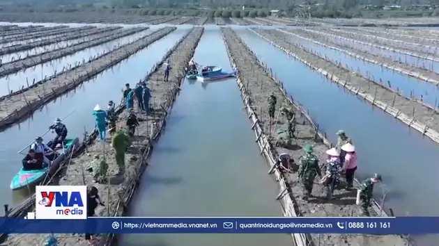 Hoang sơ, hấp dẫn rừng ngập mặn Bàu Cá Cái