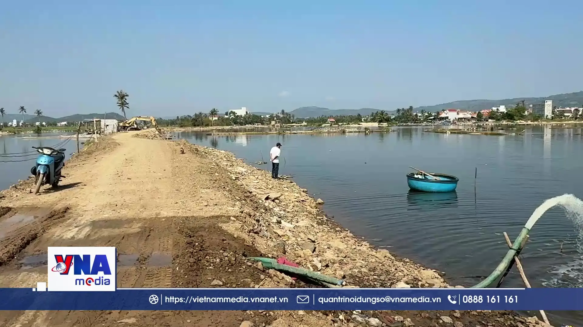 Hàng trăm hecta đất lúa bị bỏ hoang vì nhiễm mặn nặng