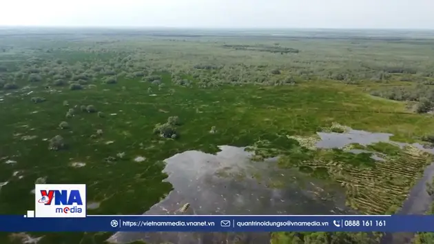 Hồi sinh hệ sinh thái đất ngập nước ở Tràm Chim