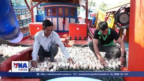 Ngư dân gặp khó do biến động giá nhiên liệu