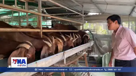 Tín dụng chính sách khơi thông sinh kế cho nông hộ Vĩnh Long