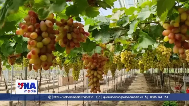 Nghị quyết 57: Thúc đẩy phát triển nông nghiệp theo hướng hiện đại, bền vững