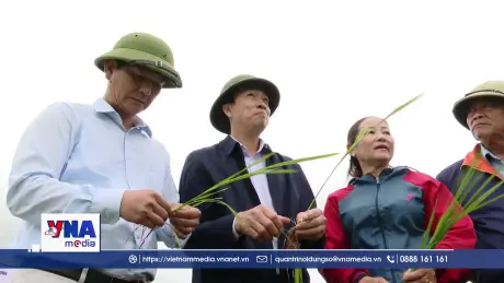 Quảng Trị: Liên kết “ba nhà” tạo động lực nâng cao hiệu quả sản xuất