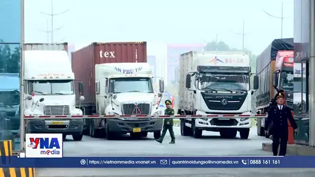 Hơn 223 triệu USD hàng hóa thông quan trong 5 tuần thí điểm cuối tuần